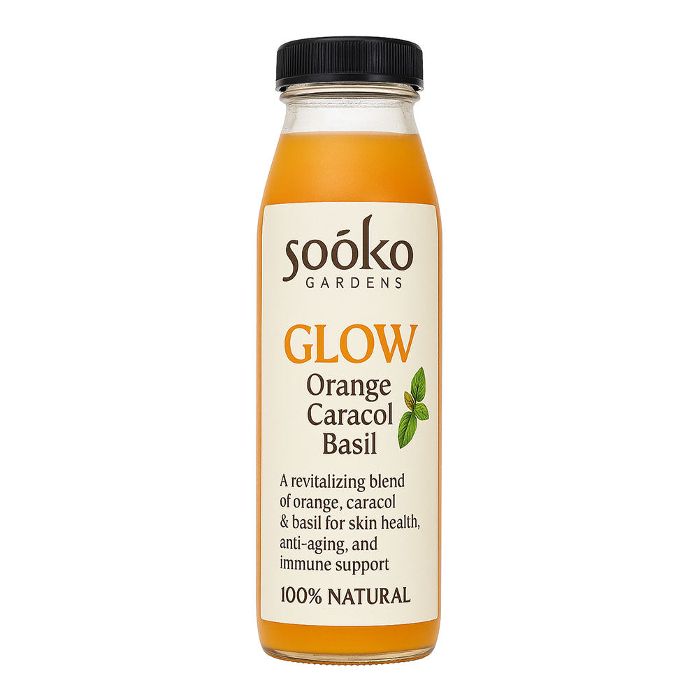 GLOW – Orange Carrot Basil