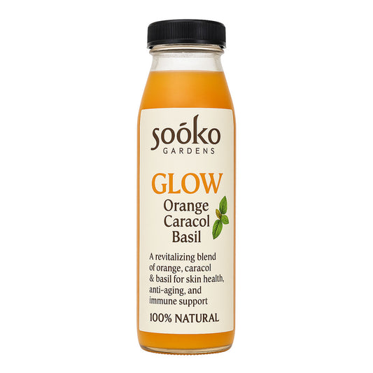 GLOW – Orange Carrot Basil